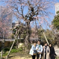 20190324_fw-1