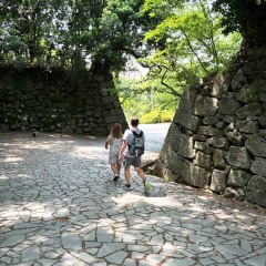 20250512_odf-10